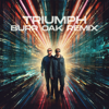 Triumph (Burr Oak Remix) - Neonlight