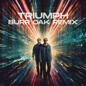 Triumph (Burr Oak Remix) artwork