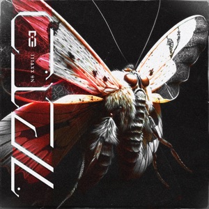 Closer / Hold Me - Single