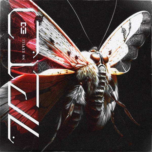 Closer / Hold Me - Single