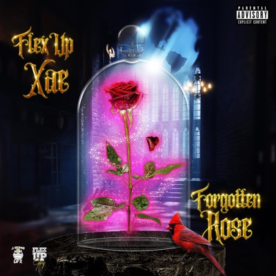 Forgotten Rose