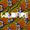 Wildfire (feat. Little Dragon) - SBTRKT lyrics