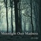 Moonlight Over Madness - Alora Koutnik lyrics