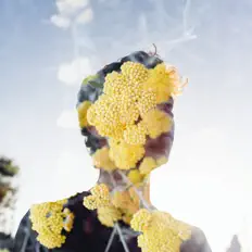 Ascolta Casey Gibson, guarda video musicali, leggi la biografia, vedi le date del tour & altro!