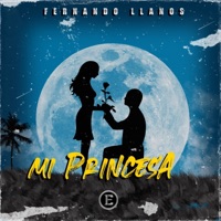 Mi Princesa - Single - Fernando llanos