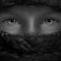 Amor Cortês - Single - Zenn Malik