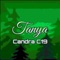 TANYA - Candra C19 lyrics