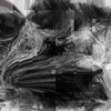 Erika (Remix) [Remix] - Single