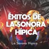 Éxitos De La Sonora Hípica