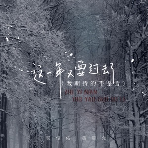 这一年又要过去了 (我期待的不是雪) - Single