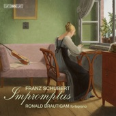 4 Impromptus, Op. 90, D. 899: No. 1 in C Minor artwork