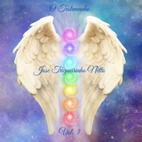 José Trigueirinho Netto Vol. 3 (feat. José Trigueirinho Netto) - O Testemunho & José Trigueirinho Netto