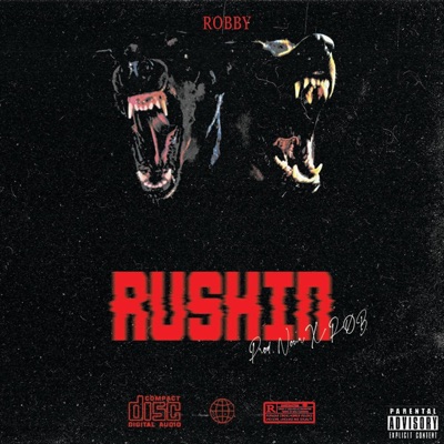 RUSHIN (feat. Nour Al FLK & RØB) - Single