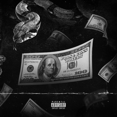 Pros & Cons - Single