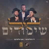ליל שימורים - Single - Hershy Langsam Productions, Yidi Bialostozky & Motty Ilowitz