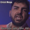 Dusmanii sunt fanii mei - Single