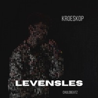 Levensles - Single - KROE$kOP