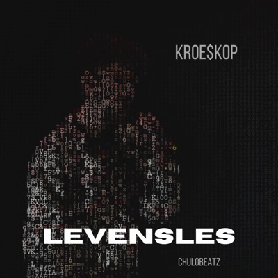 Levensles - Single