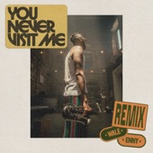 You Never Visit Me (Remix) artwork