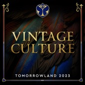 Tomorrowland 2023: Vintage Culture at Crystal Garden, Weekend 2 (DJ Mix) artwork