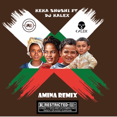 AMINA RMX (feat. DJ KALEX) - Single