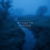 If I Had To Choose - Single