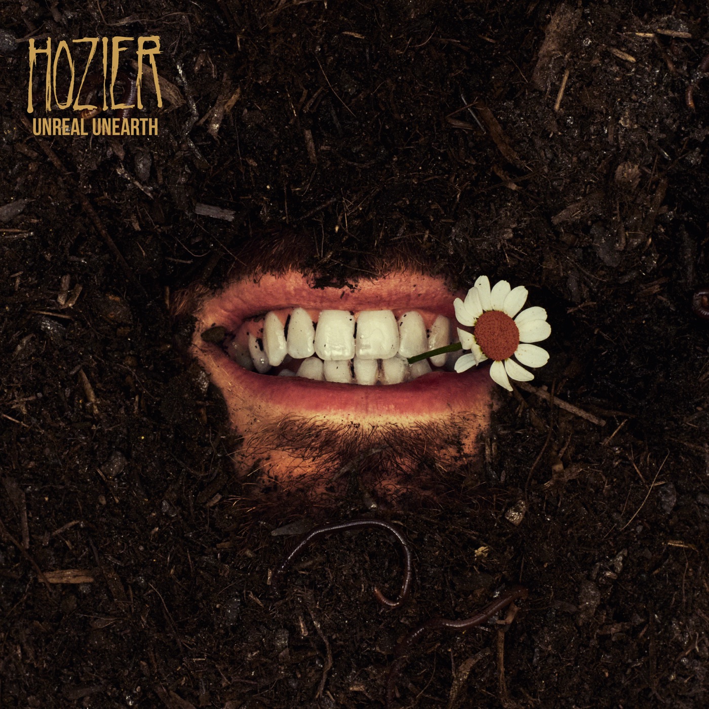 Unreal Unearth by Hozier