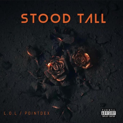 STOOD TALL (feat. POINTDEX) - Single