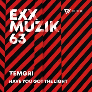 Have You Got the Light - Single