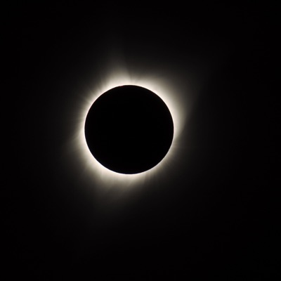 TNP: The B Sides - EP