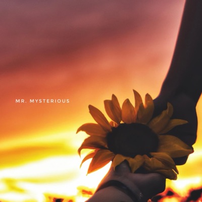 Mr. Mysterious - Single