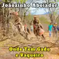 Calor Do Rodeio