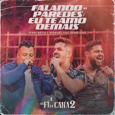 Falando às Paredes / Eu Te Amo Demais (Ao Vivo) [feat. Bruno Rosa] - Single