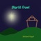 Starlit Frost - Michael Pingel lyrics