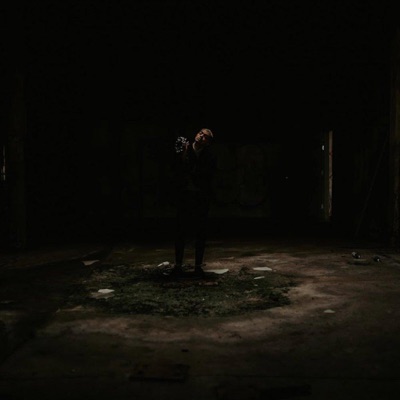 BIRDBOX (feat. HIM) - Single