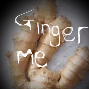 Ginger Me (feat. PTF & Z3ro)