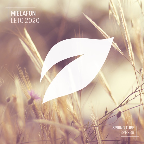 Leto 2020 - Single