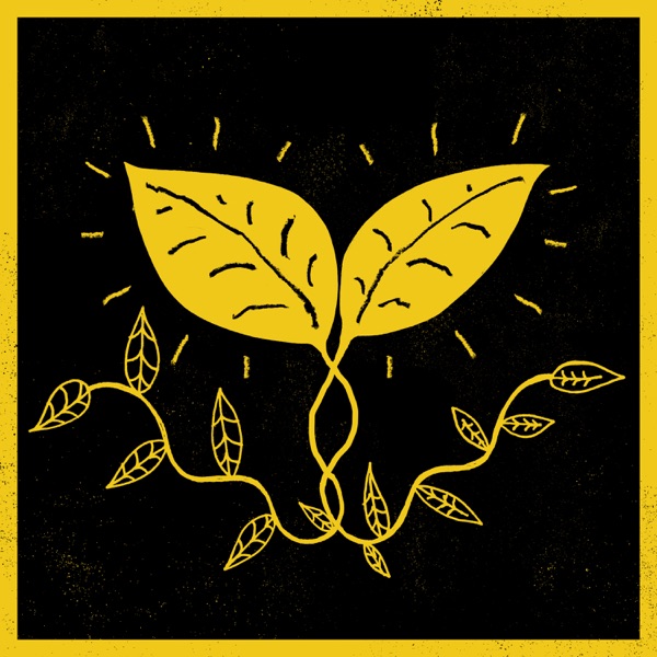 Golden Green - Single