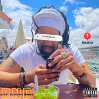 DND (Radio Edit) - Single - Nick Pratt