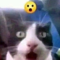 Typa Shit Ive Been On - Single - REDDAMANE