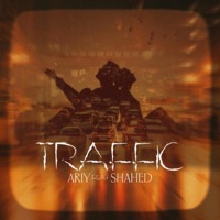 Traffic (feat. Danial Shahed) - Single - Ariy