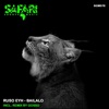 Bailalo (GOSSO Remix) cover art