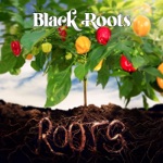 Black Roots - Fi Once