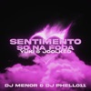 Sentimento Só na Foda - Single