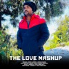 The Love Mashup - Single