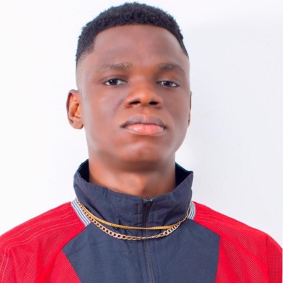 Never Give Up (feat. BoiDope & J Song) - Single