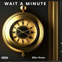 Wait a Minute - Single - $hock Medusa