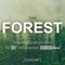 The Forest - Jonas 4TL lyrics