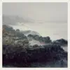 Swimmer