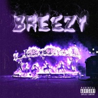 Breezy - Single - LionChimera